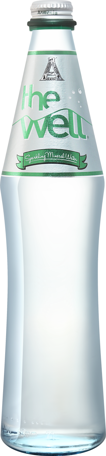 Вода газированная вода питьевая столовая Велл 0.6 л
