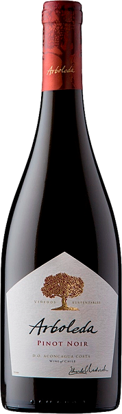 Pinot Noir Aconcagua Costa DO Vina Arboleda, 0.75 л в Воронеже