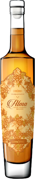 Alma Kovacevic, 0.5 л в Воронеже